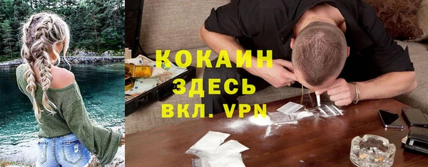 ПСИЛОЦИБИНОВЫЕ ГРИБЫ Магас