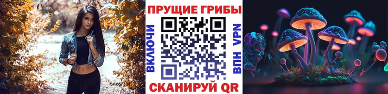купить   Амурск  Псилоцибиновые грибы MAGIC MUSHROOMS 